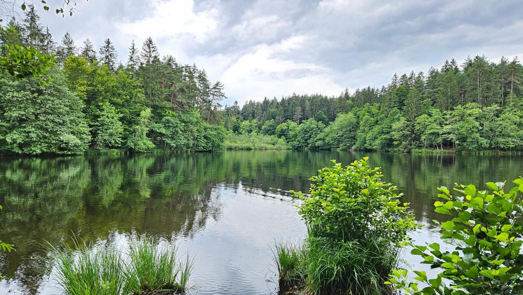 "Casa Antonio" 3 Gehminuten Strandbad Sekirn, Inkl Seezugang Buitenkant foto