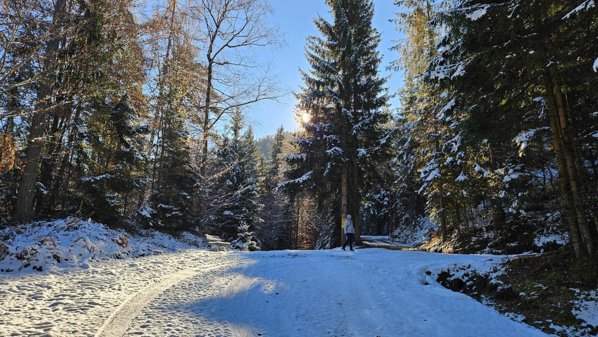 "Casa Antonio" 3 Gehminuten Strandbad Sekirn, Inkl Seezugang Buitenkant foto